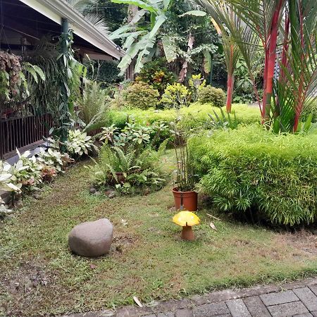 מנואל אנטוניו Casas Guaney, Full Furnished Studios! מראה חיצוני תמונה